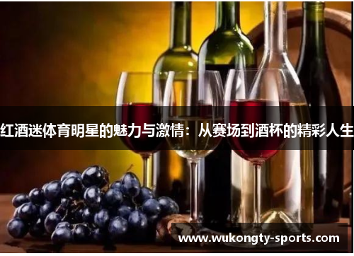 红酒迷体育明星的魅力与激情：从赛场到酒杯的精彩人生
